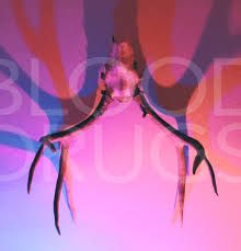 Blood Drugs - s/t - LP (2015)